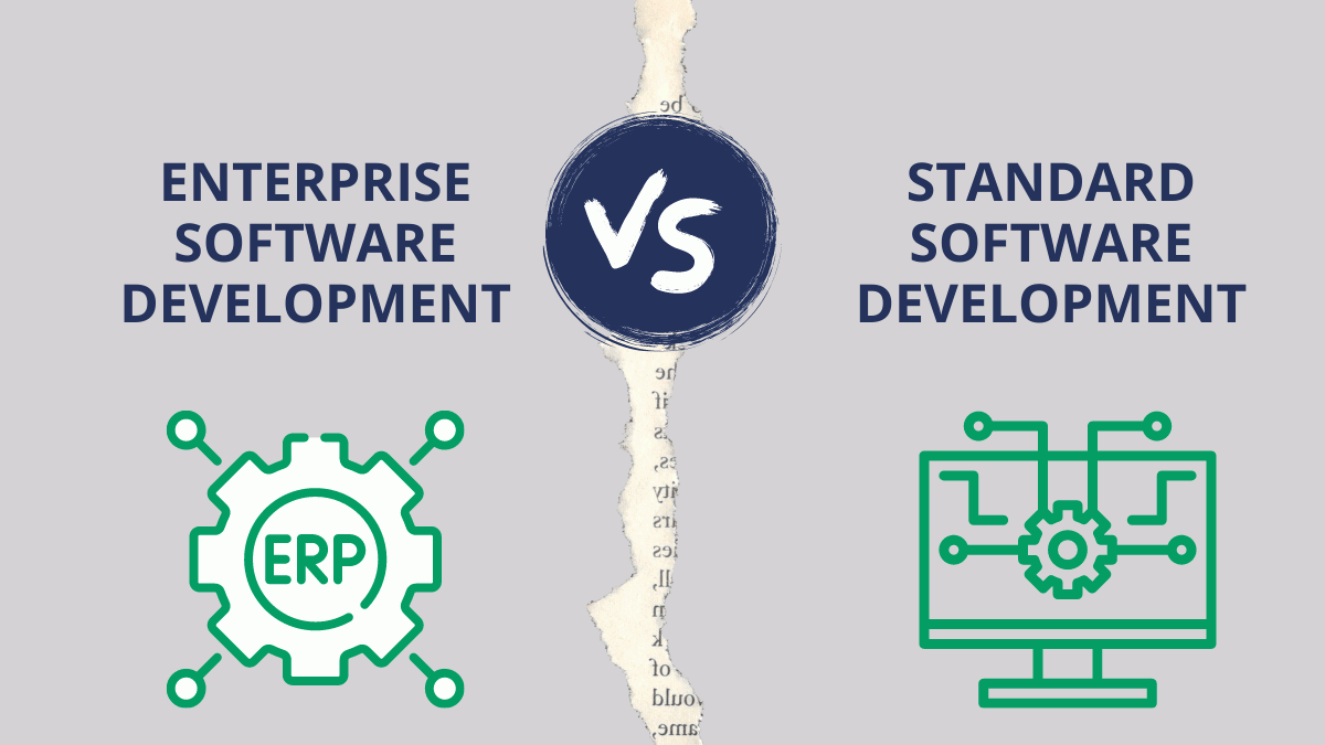 enterprise software development