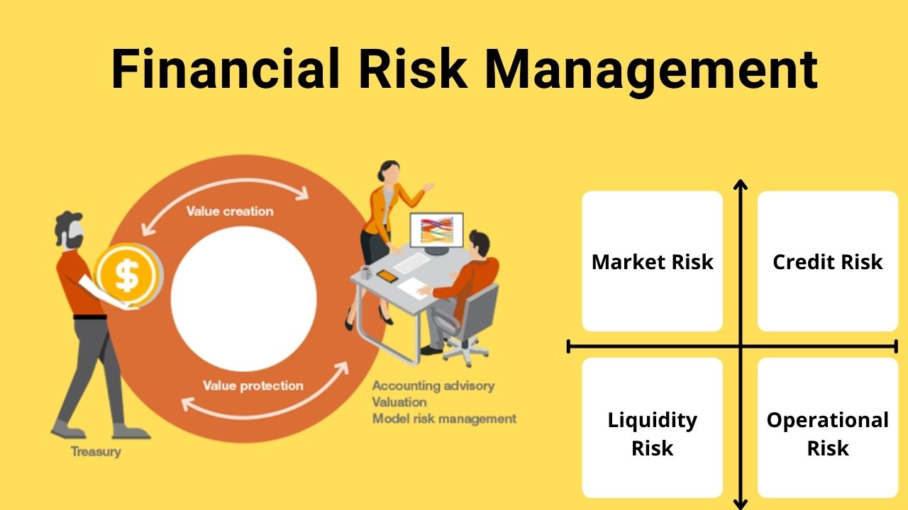 financial risk management software