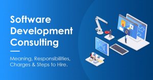 software development consulting
