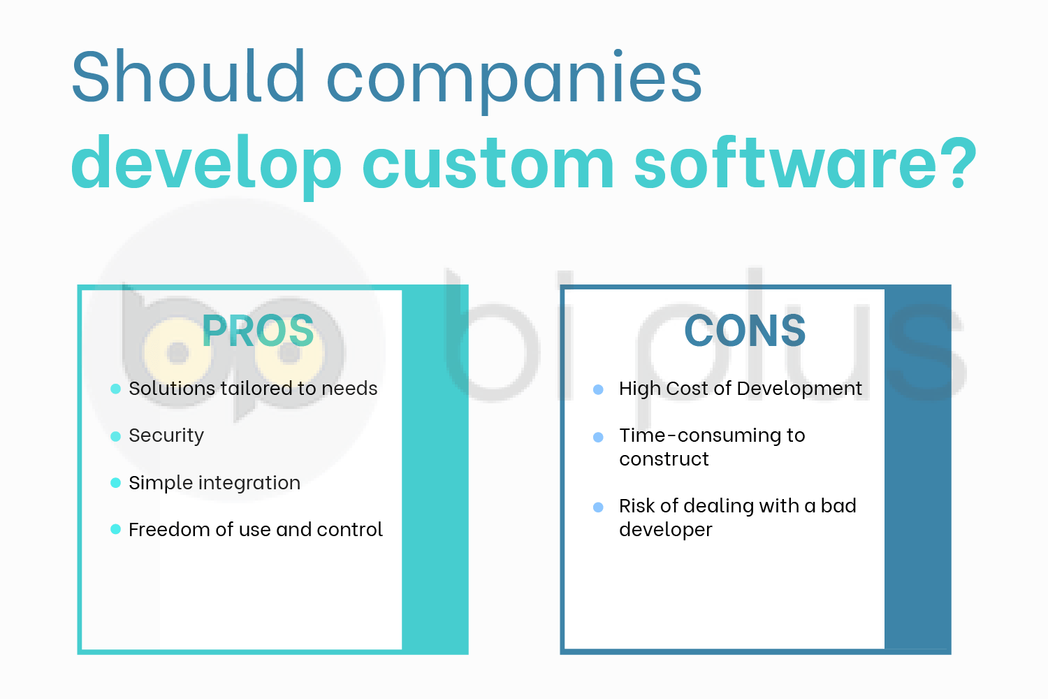 Should companies develop custom software?